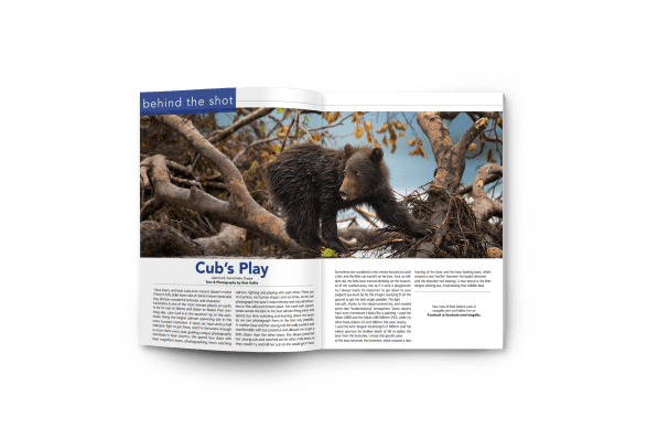 FinalMagazineMockUp3