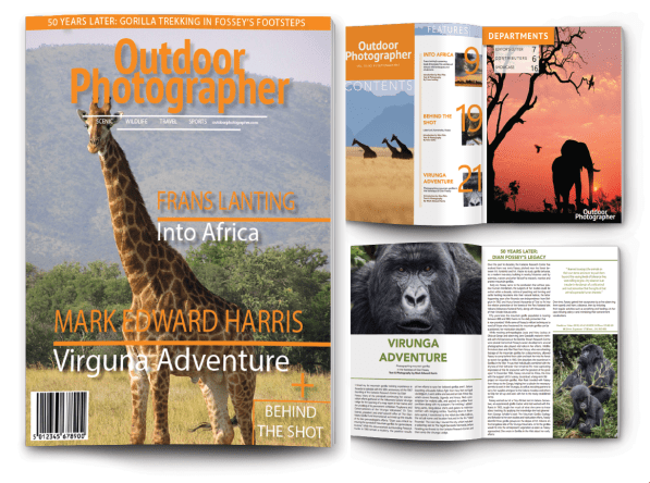 Screen Shot 2018-11-21 at 2.02.05 PM